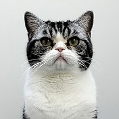 Van Caenegem, Elisa Elisa Van Caenegem