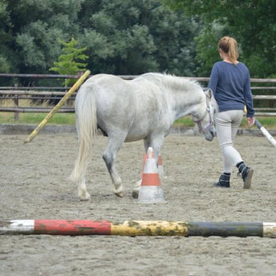 De Maeyer, Stefanie Stefanie De Maeyer