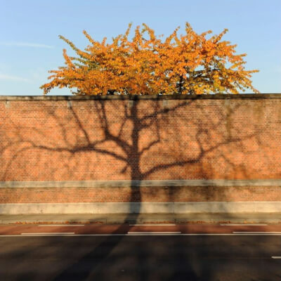 van langendonck, katleen katleen van langendonck
