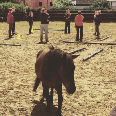 De Maeyer, Stefanie Stefanie De Maeyer