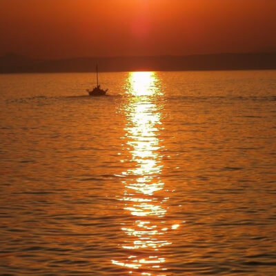 Van Tiggelen, Marianne Marianne Van Tiggelen