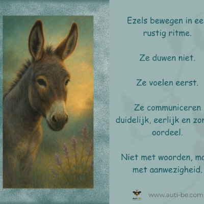 Van Schuerbeek, Hilde Hilde Van Schuerbeek