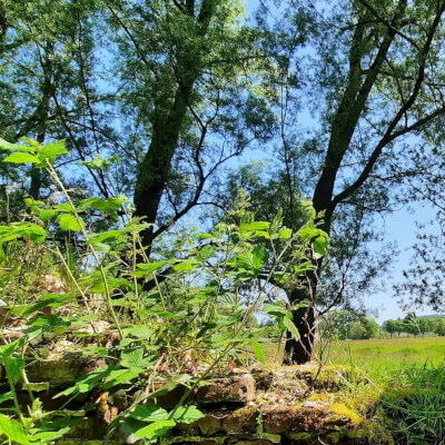 De Kerf, Brigitte Brigitte De Kerf