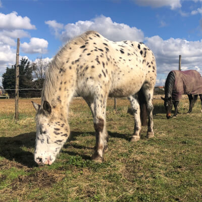 Bervoets, Tinne Tinne Bervoets