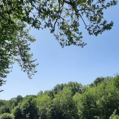 De Kerf, Brigitte Brigitte De Kerf