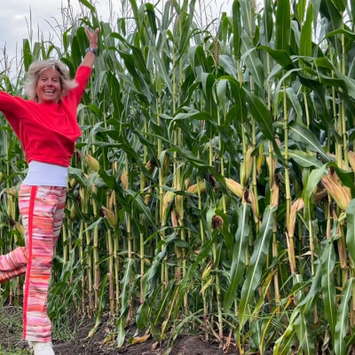 heylen, ann ann heylen