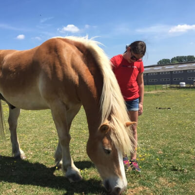 Desmet, Lesley Lesley Desmet