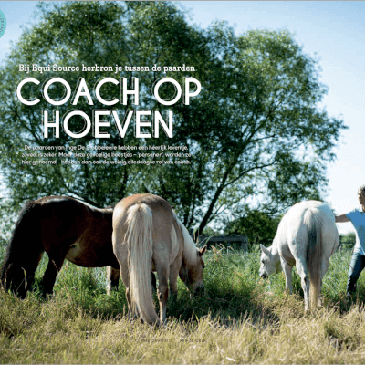 De Stobbeleere, Inge Inge De Stobbeleere