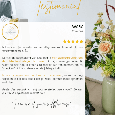 Janssens, Lies Lies Janssens