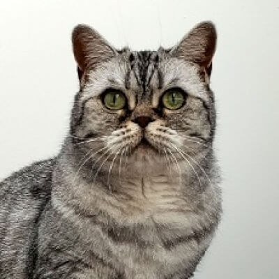 Van Caenegem, Elisa Elisa Van Caenegem