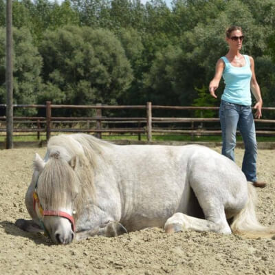 De Maeyer, Stefanie Stefanie De Maeyer