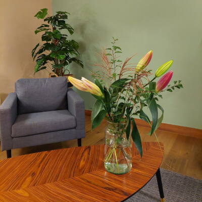 Hoogakker, Trinette Trinette Hoogakker