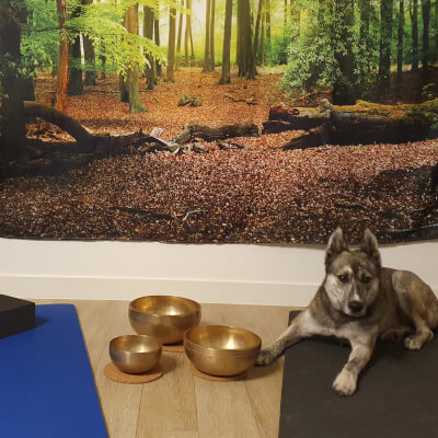 Van Hees, Jan Jan Van Hees