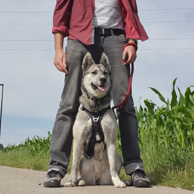 Van Hees, Jan Jan Van Hees