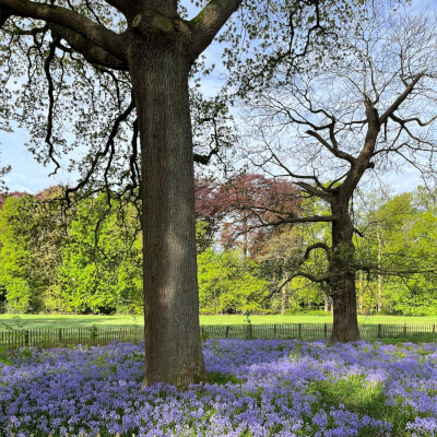 Grielens, Jan Jan Grielens