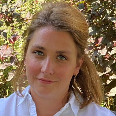 Dhollander, Dominik Dominik Dhollander