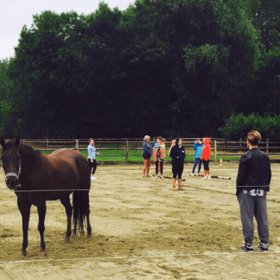 Specialisatie-opleiding voor paardencoaches