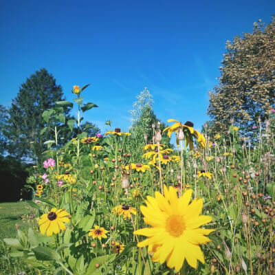 Deferm, Anja Anja Deferm